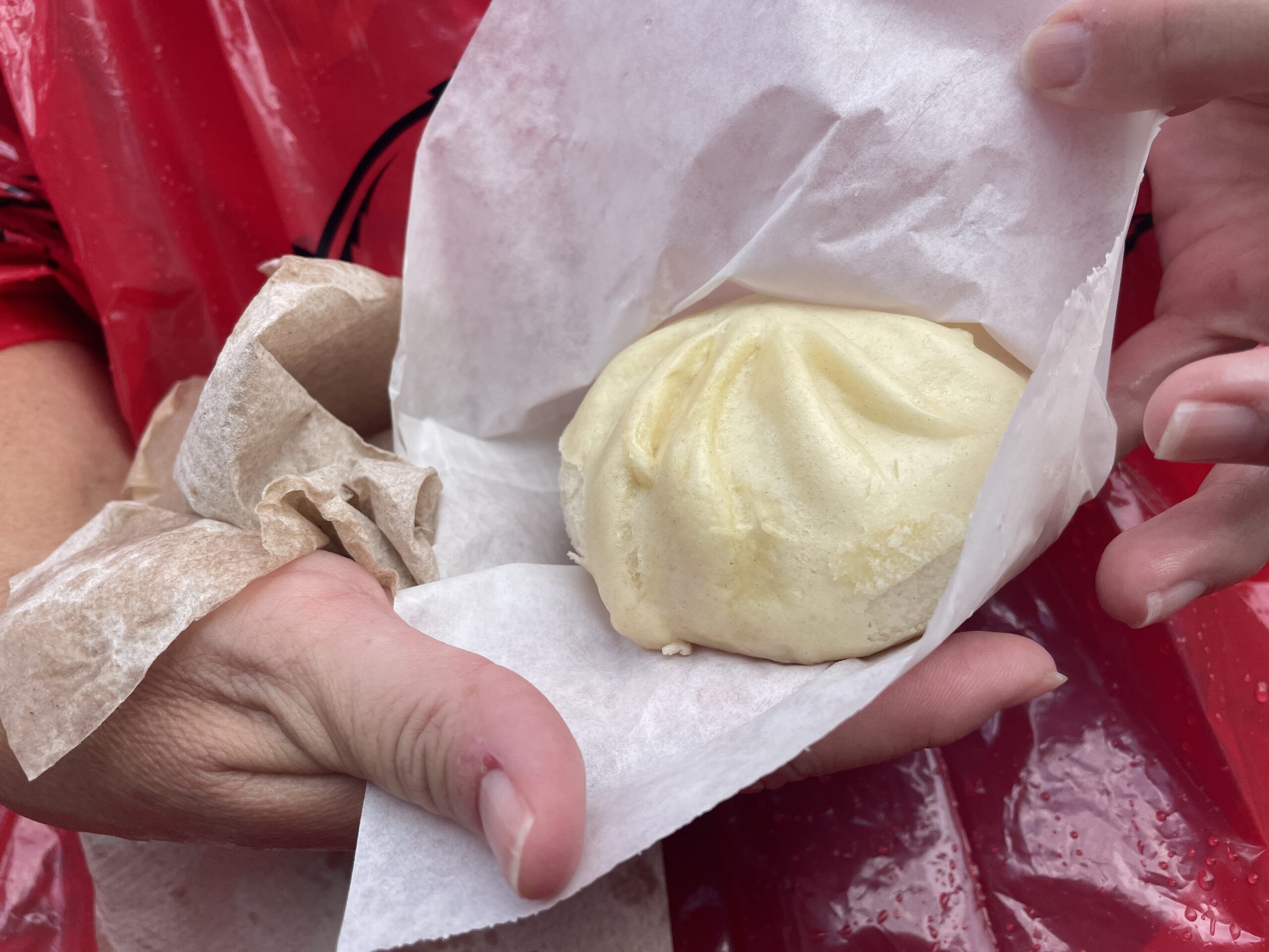 Teriyaki Chicken Bun: Steamed bun filled with minced chicken, vegetables, and teriyaki sauce at Epcot during the Food and Wine Festival
