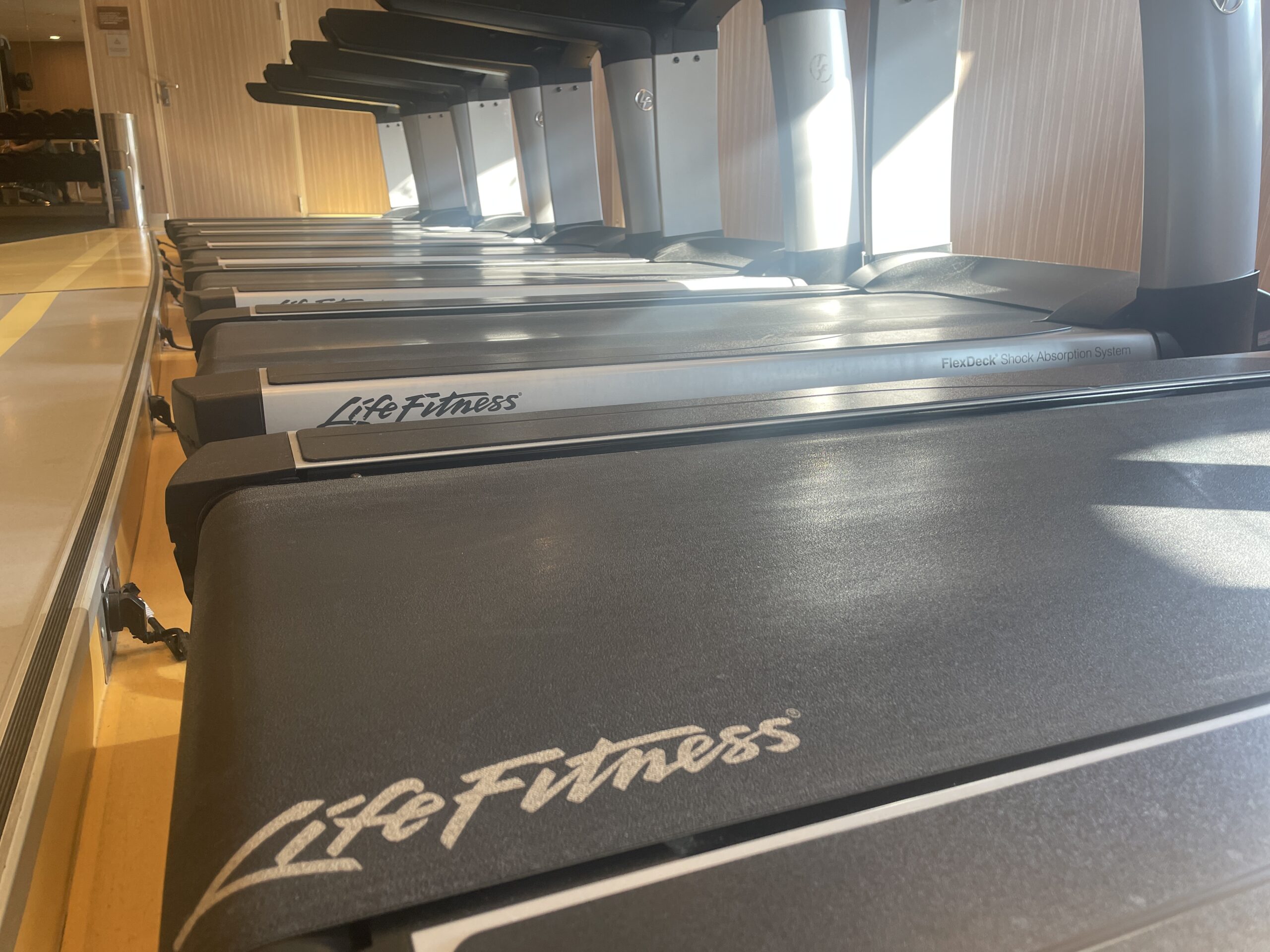 Lifefitness treadmills